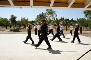 Lanza de Tai Chi