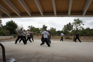 Lanza de Tai Chi